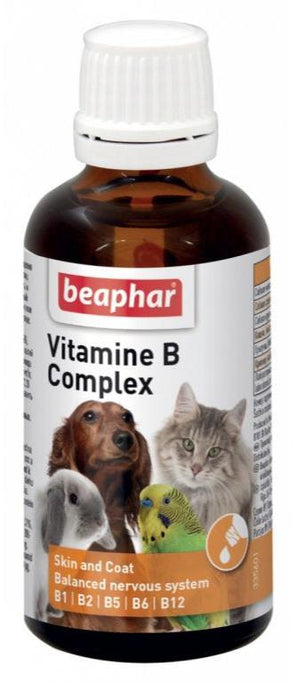 Beaphar Vitamin B Complex pes, kočka 50ml: Vitamin B komplex kapky pro psy a kočky. Podporují metabolismus, nervový systém a zdraví kůže.