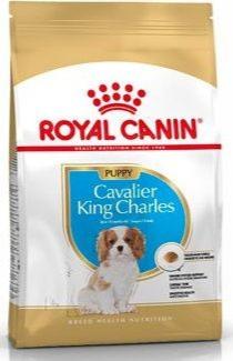 Royal Canin Breed Kavalír King Charles Junior 1,5kg